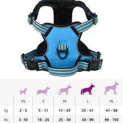vidaXL Hondentuigje met riem en halsband verstelbaar L blauw