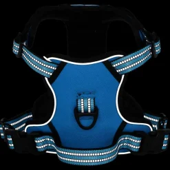 vidaXL Hondentuigje met riem en halsband verstelbaar L blauw