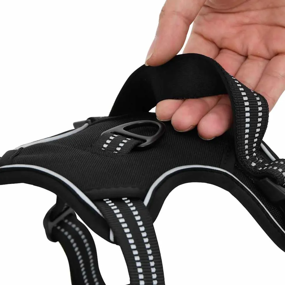 vidaXL Hondentuigje met riem en halsband verstelbaar M zwart
