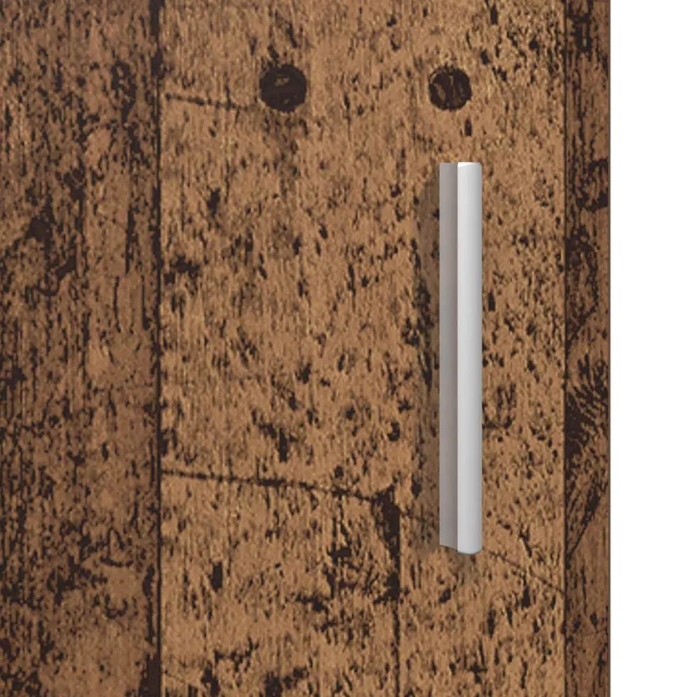 vidaXL Houten Kast Oudhout Bewerkt hout