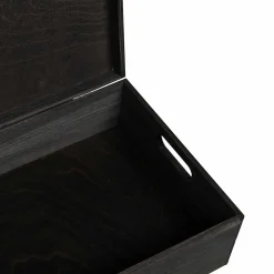 vidaXL Houten kist met deksel&handvatten 40x30x13cm grenenhout zwart