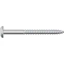 vidaXL Houten Schroef 2 st zilver 9,8 x 53 mm Staal