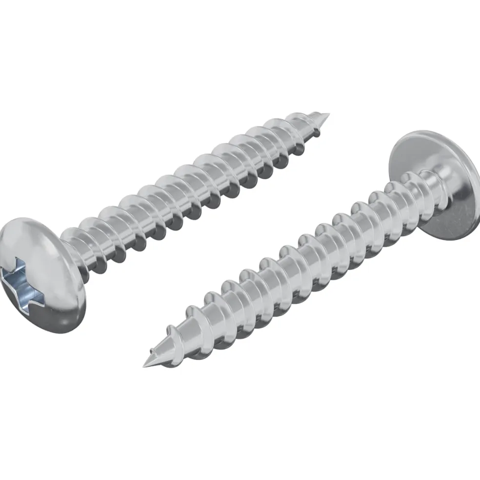 vidaXL Houten Schroef 2 st zilver M4 x 28 mm IJzer