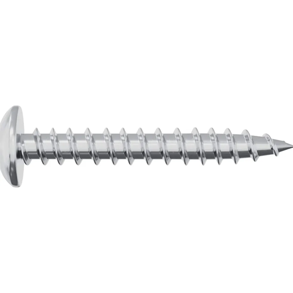 vidaXL Houten Schroef 2 st zilver M4 x 28 mm IJzer