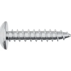 vidaXL Houten Schroeven 2 st zilver M4 x 20 mm Staal
