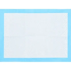 vidaXL Huisdierentrainingsdoekje 100 st 45x33 cm nonwoven stof