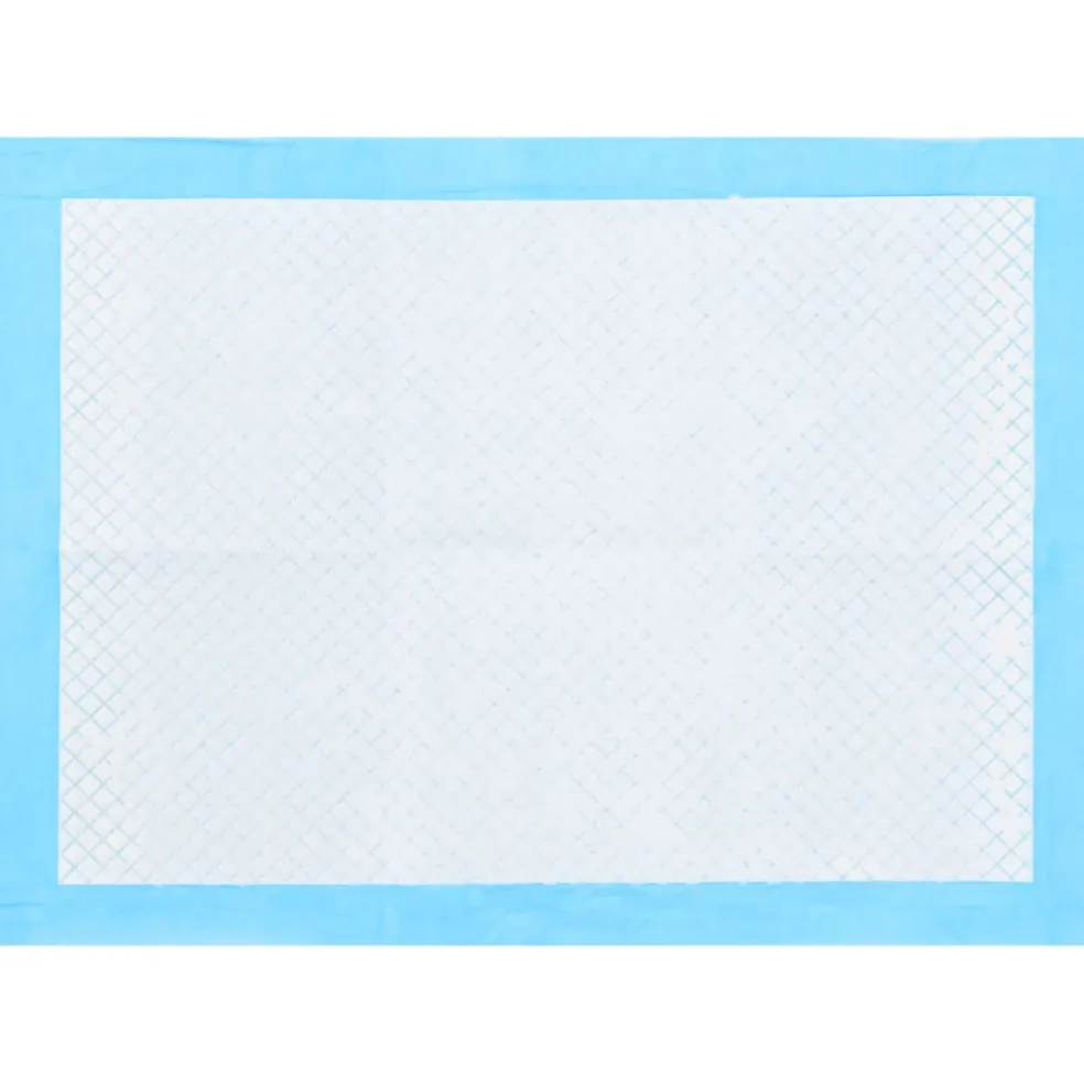 vidaXL Huisdierentrainingsdoekje 100 st 45x33 cm nonwoven stof