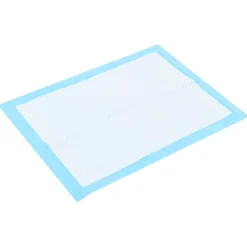 vidaXL Huisdierentrainingsdoekje 100 st 45x33 cm nonwoven stof