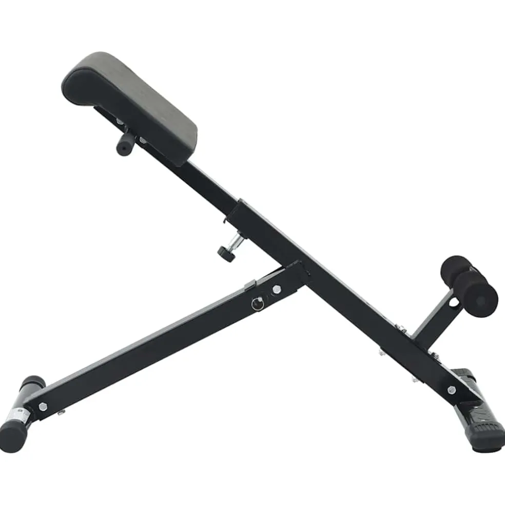 vidaXL Hyperextension Bank Zwart 100,5 x 70 x 78 cm Gepoedercoat staal