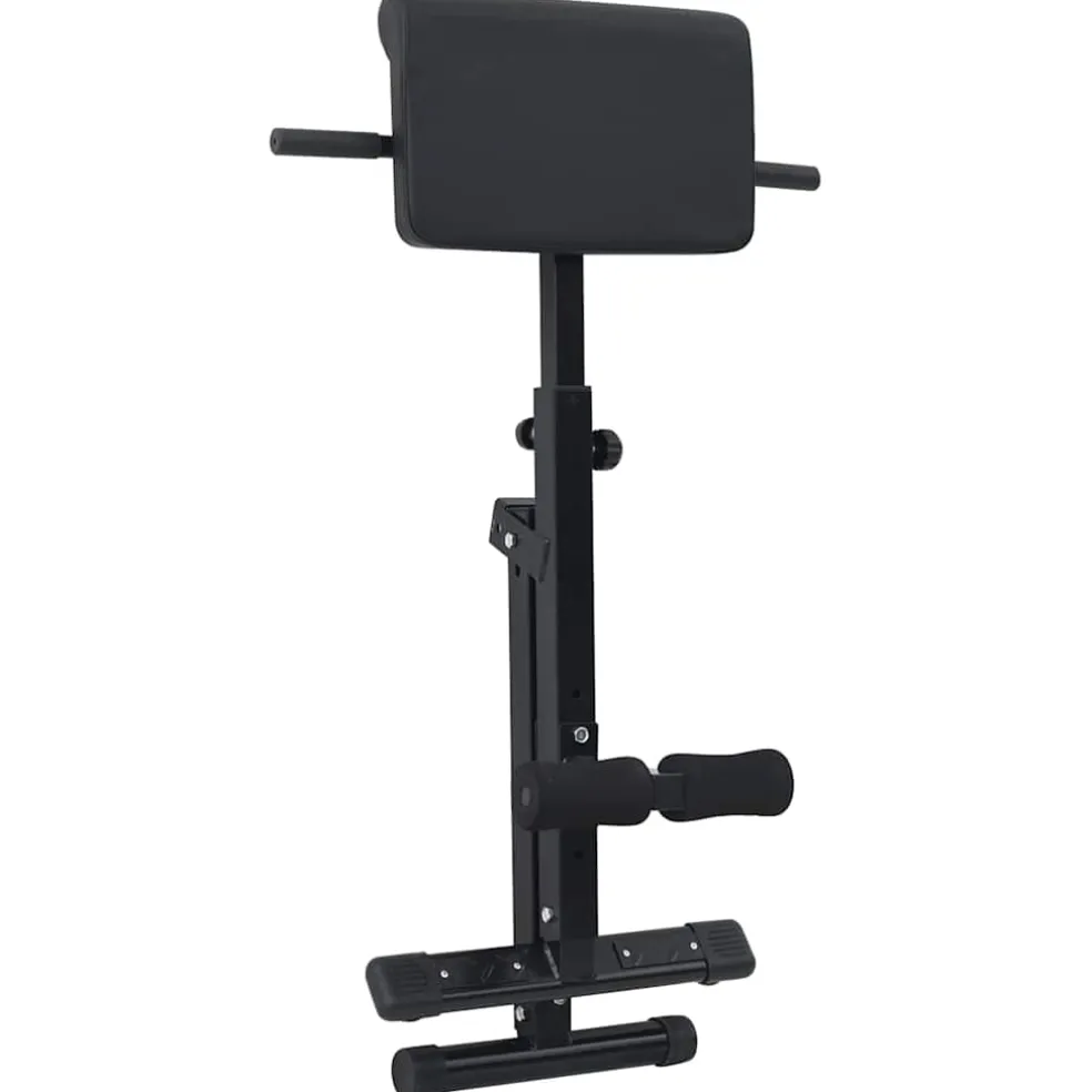 vidaXL Hyperextension Bank Zwart 100,5 x 70 x 78 cm Gepoedercoat staal