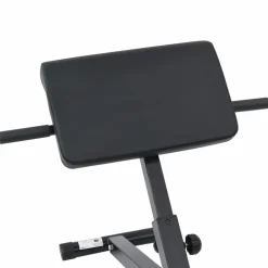 vidaXL Hyperextension Bank Zwart 100,5 x 70 x 78 cm Gepoedercoat staal