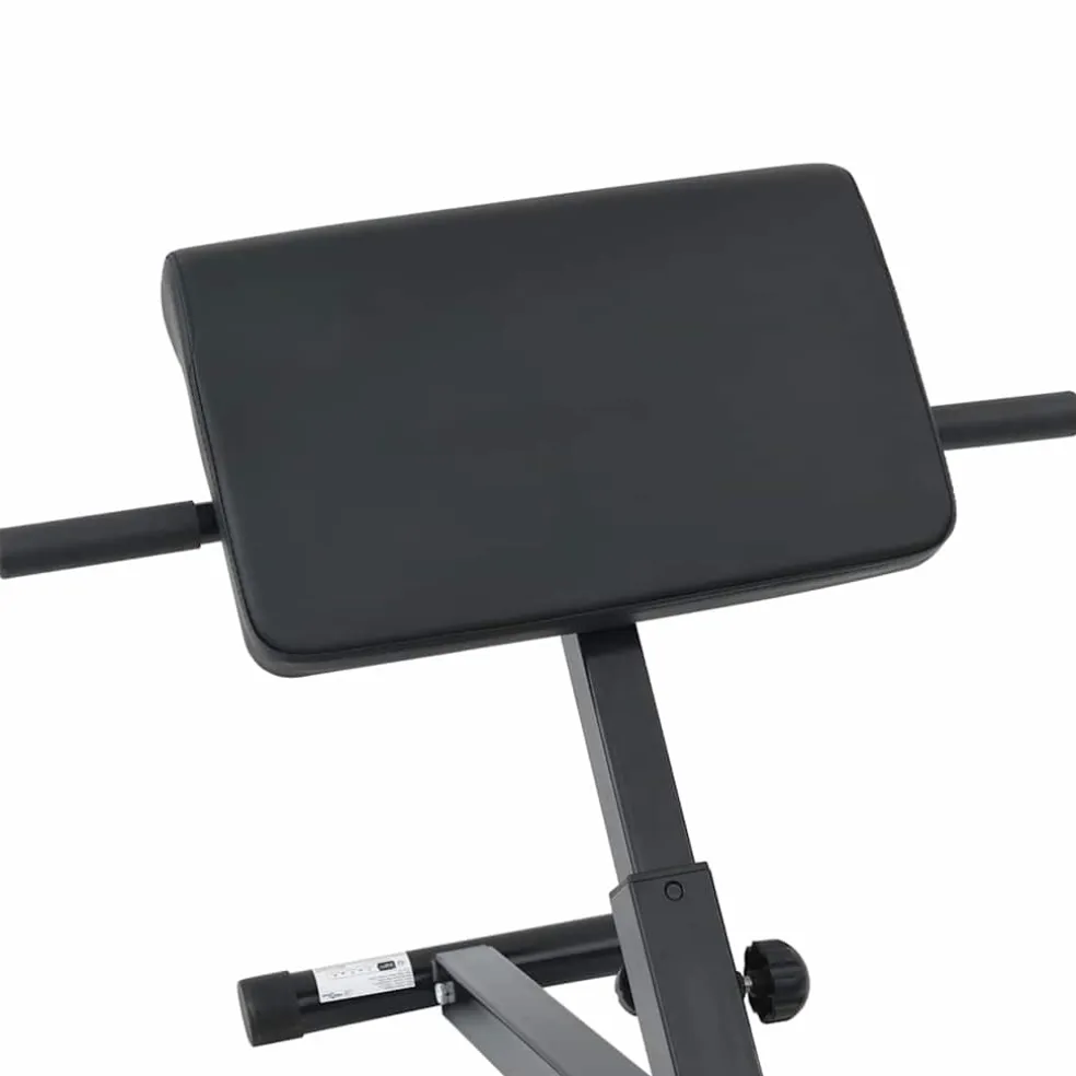 vidaXL Hyperextension Bank Zwart 100,5 x 70 x 78 cm Gepoedercoat staal