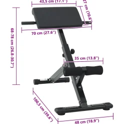 vidaXL Hyperextension Bank Zwart 100,5 x 70 x 78 cm Gepoedercoat staal