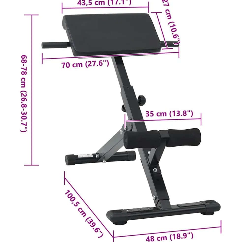 vidaXL Hyperextension Bank Zwart 100,5 x 70 x 78 cm Gepoedercoat staal