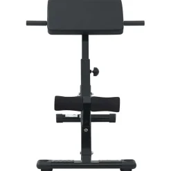 vidaXL Hyperextension Bank Zwart 100,5 x 70 x 78 cm Gepoedercoat staal