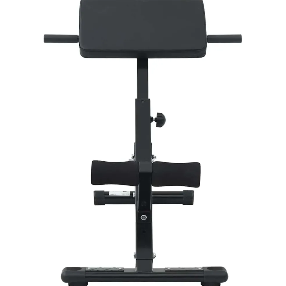 vidaXL Hyperextension Bank Zwart 100,5 x 70 x 78 cm Gepoedercoat staal