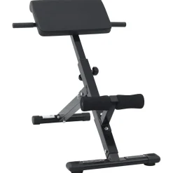 vidaXL Hyperextension Bank Zwart 100,5 x 70 x 78 cm Gepoedercoat staal