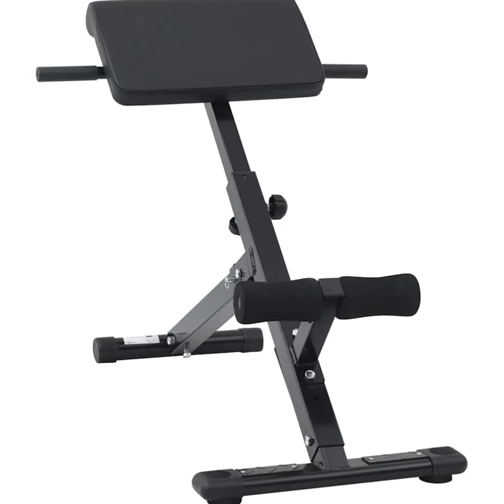 vidaXL Hyperextension Bank Zwart 100,5 x 70 x 78 cm Gepoedercoat staal