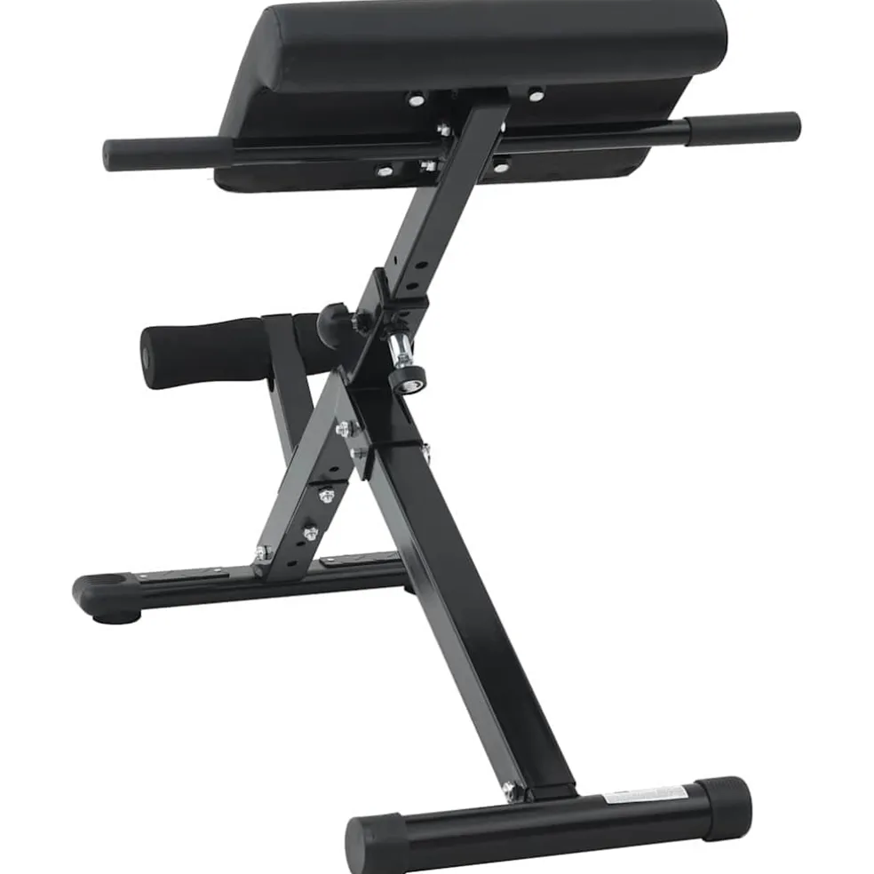 vidaXL Hyperextension Bank Zwart 100,5 x 70 x 78 cm Gepoedercoat staal