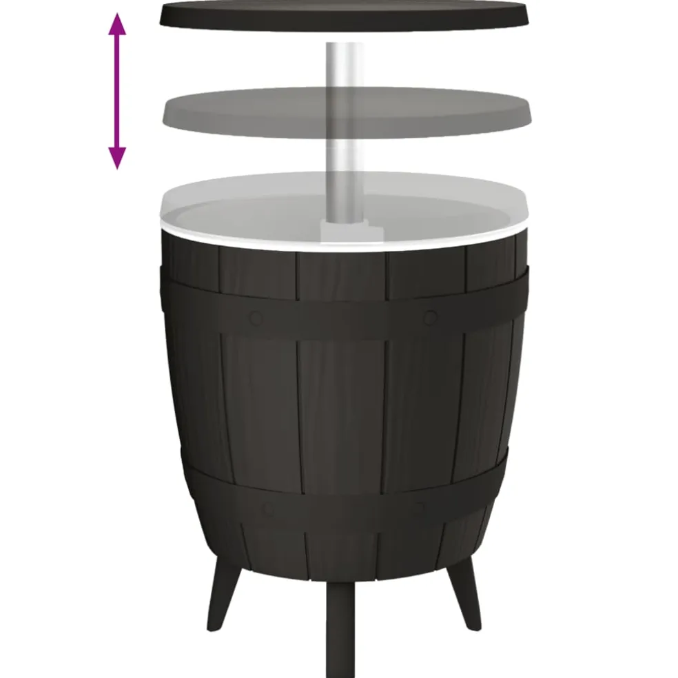 vidaXL IJskoeltafel 3-in-1 polypropeen zwart