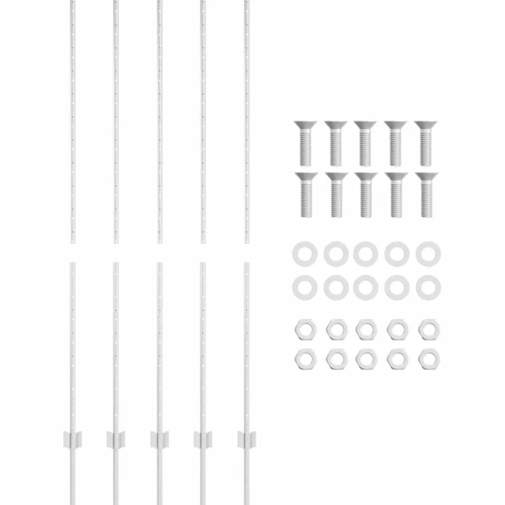 vidaXL ingegraven hekpalen 5 st zilver 200 cm Gepoedercoat staal