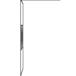 vidaXL Inloopdouchewand 80x195 cm transparant ESG-glas zwart