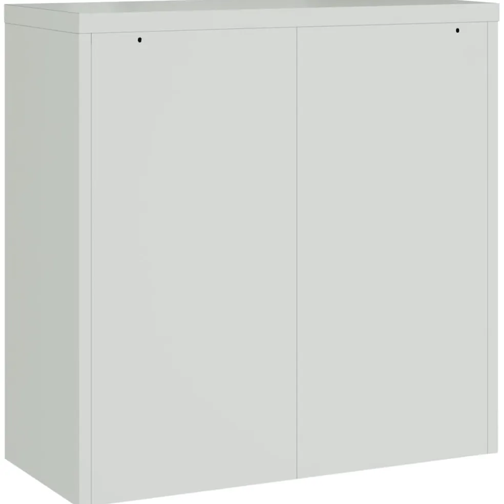 vidaXL Kantoorkast met 2 deuren 90 cm staal grijs
