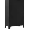 vidaXL Kantoorkast met gaasdeuren industrieel 75x40x120 cm staal zwart
