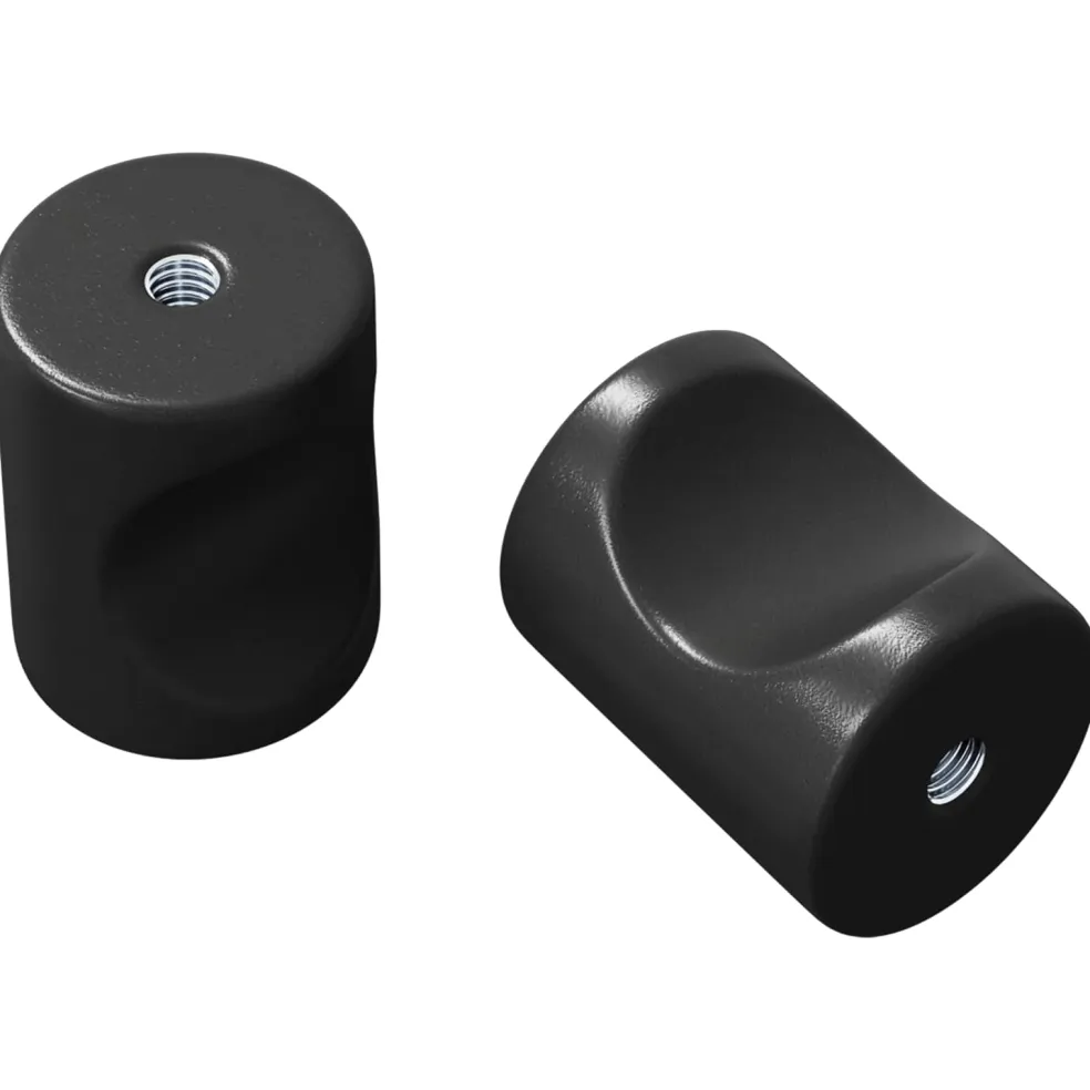 vidaXL Kastknop 2 st Zwart 18 x 23 mm IJzer