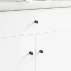 vidaXL Kastknop 2 st Zwart 18 x 23 mm IJzer