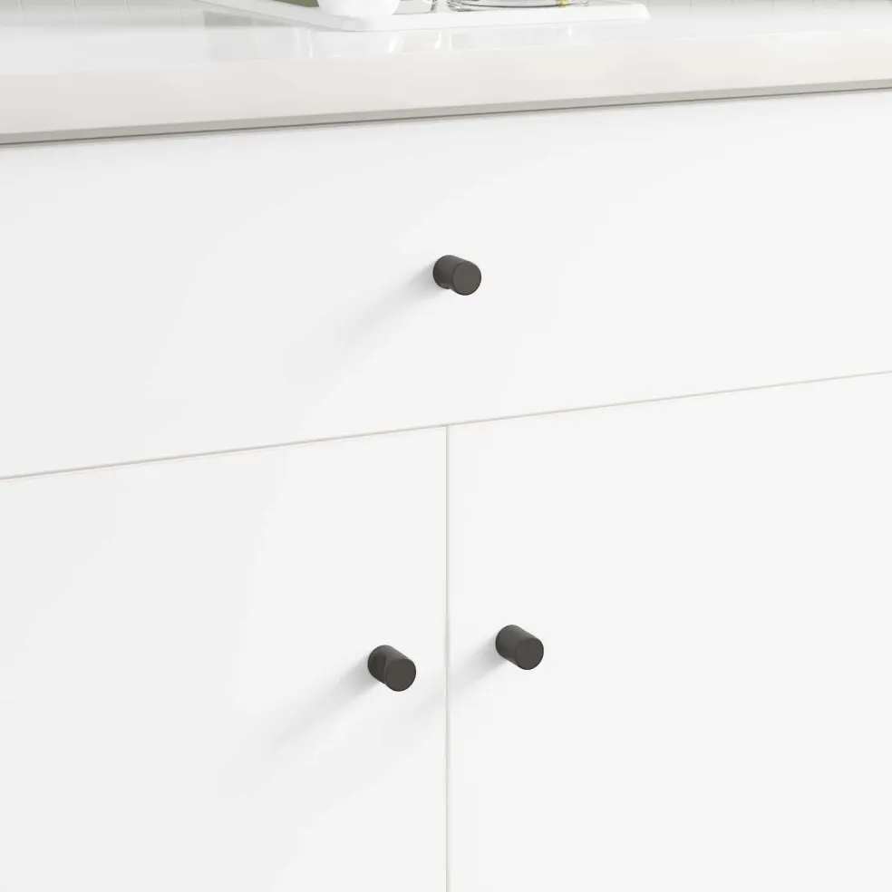 vidaXL Kastknop 2 st Zwart 18 x 23 mm IJzer