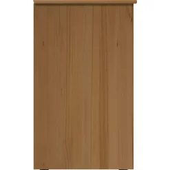 vidaXL Kast 34 x 39 x 61,5 cm Massief Vurenhout Honingbruin
