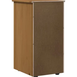 vidaXL Kast 34 x 39 x 61,5 cm Massief Vurenhout Honingbruin