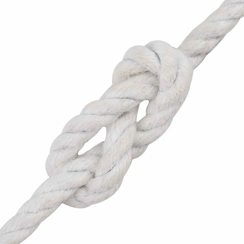 vidaXL Katoen Touw 2 st 2 mm 100 m Wit 100% Katoen