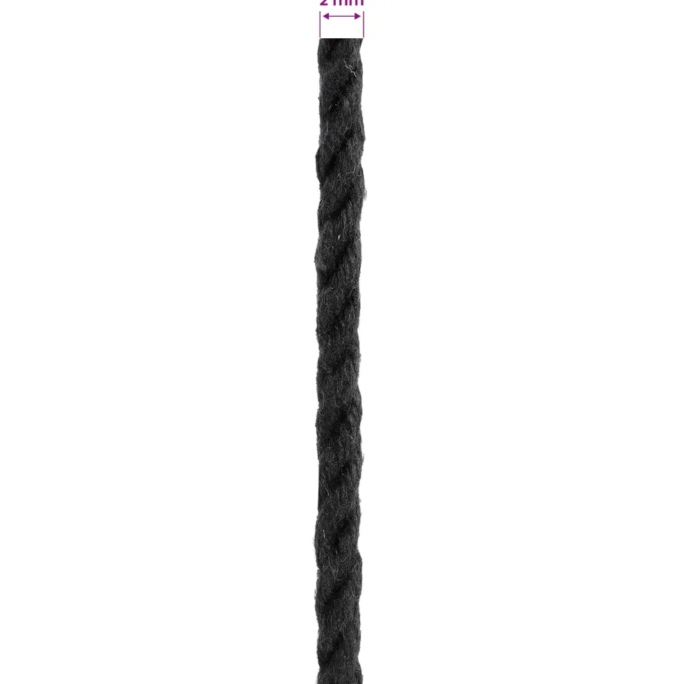 vidaXL Katoen Touw 2 st 2 mm 100 m Zwart 100% Katoen