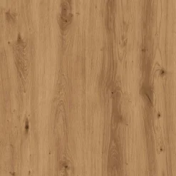 vidaXL Kattenbakkast 60x40x40 cm bewerkt hout artisanaal eikenkleurig