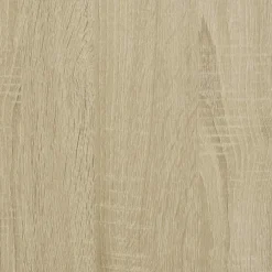 vidaXL Kattenbakkast 60x40x40 cm bewerkt hout sonoma eikenkleurig