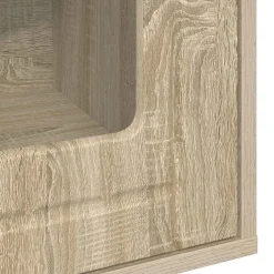 vidaXL Kattenhuis Sonoma 53 x 52 x 62 cm Bewerkt hout
