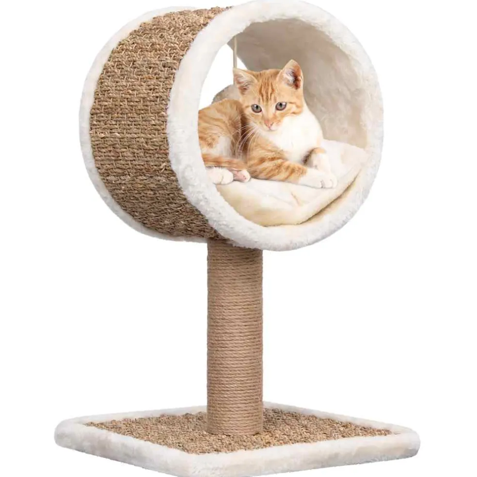 vidaXL Kattenmeubel met tunnel en speeltje 56 cm zeegras