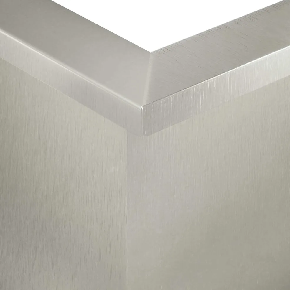 vidaXL Keerwand 2 st 50 x 50 x 30 cm Roestvrij staal zilver