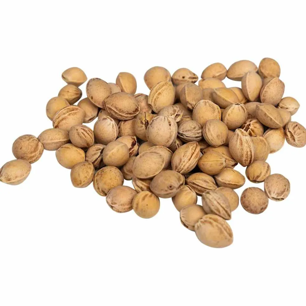vidaXL Kersenpitten voor warmtekussen 20 kg