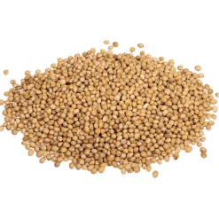 vidaXL Kersenpitten voor warmtekussen 10 kg