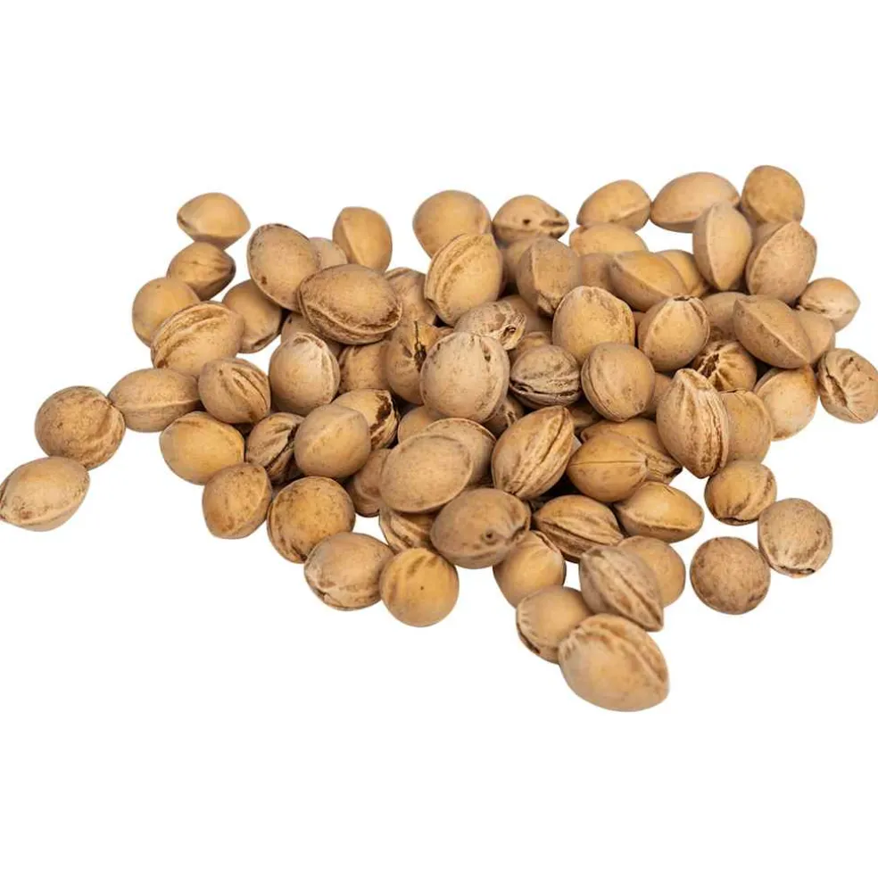 vidaXL Kersenpitten voor warmtekussen 10 kg