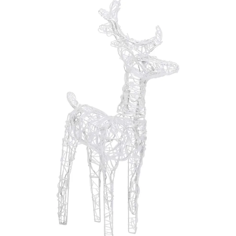 vidaXL Kerstversiering rendieren en slee 160 LED's 130 cm acryl