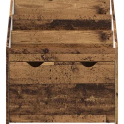 vidaXL Kinderen Boekenkast Oudhout 60 x 29,5 x 69 cm Bewerkt hout