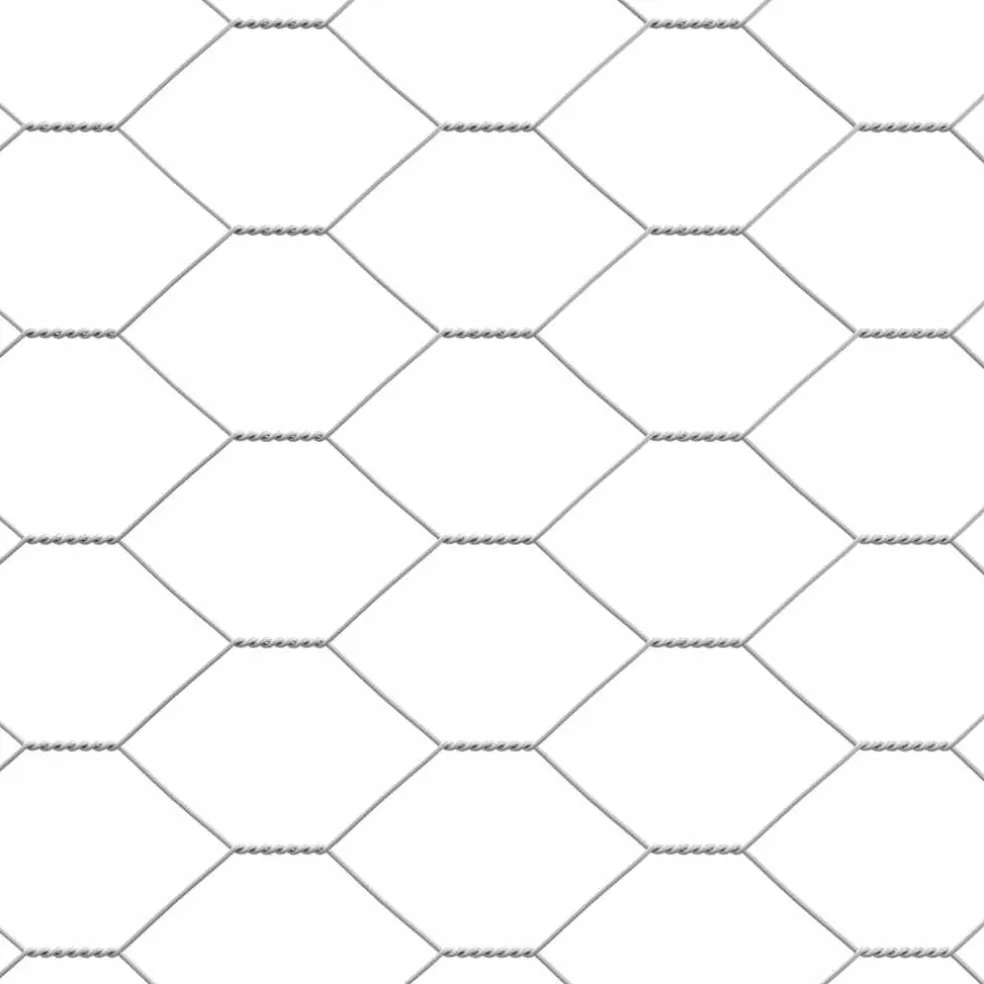 vidaXL Kippenhok met 1 deur 2 st zilver 400x200x200cm