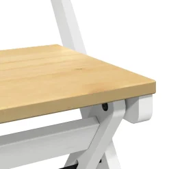 vidaXL Klapstoelen 4 stuks