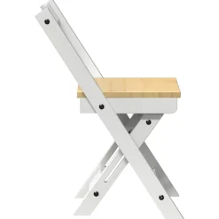 vidaXL Klapstoelen 4 stuks