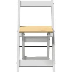 vidaXL Klapstoelen 4 stuks