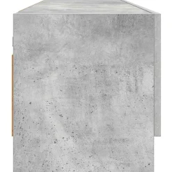 vidaXL Kledingkast 100x32,5x35 cm bewerkt hout betongrijs
